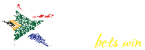 hollywoodbetswin logo